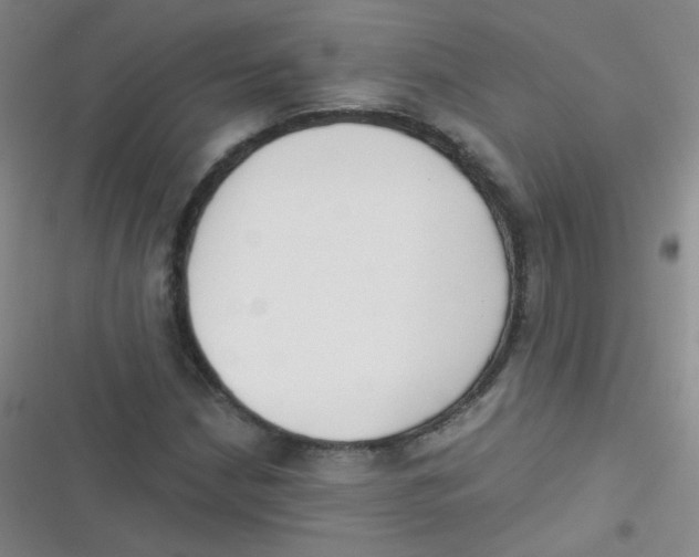 X0000116831210201001081430