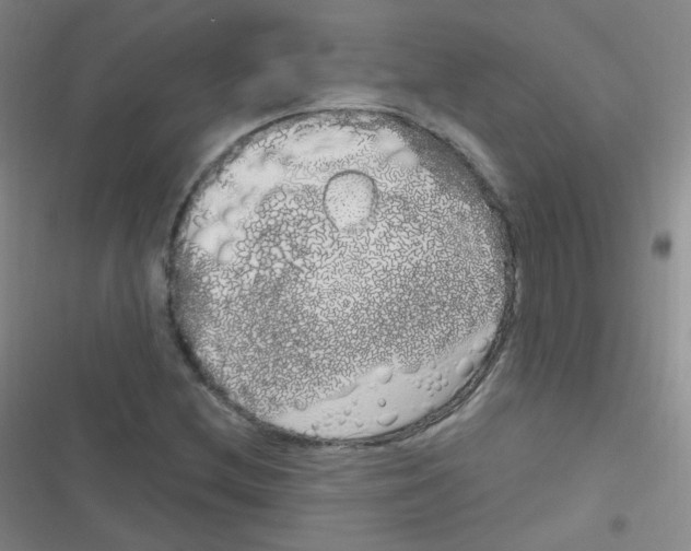 X0000116831212201001081430