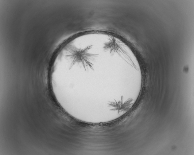 X0000116831214201001081431