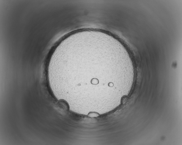 X0000116831215201001081431