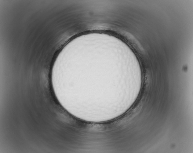 X0000116831217201001081431