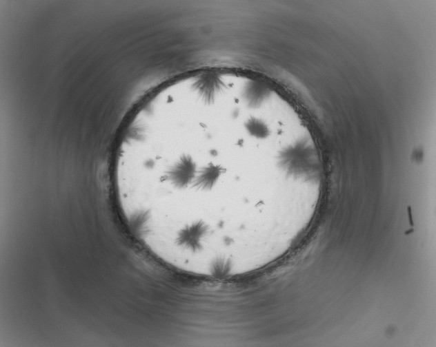 X0000116831218201001081431