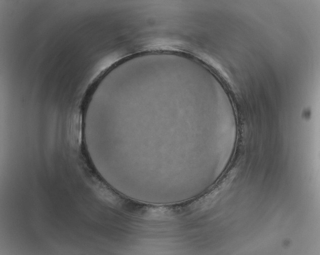 X0000116831219201001081431