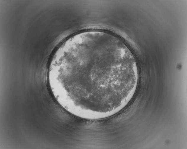 X0000116831221201001081431