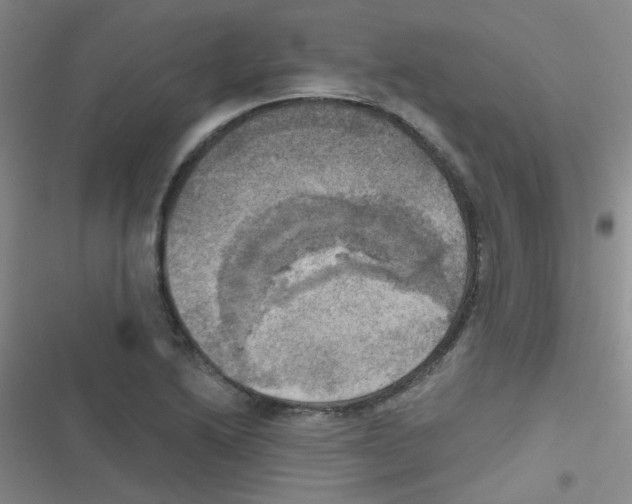 X0000116831222201001081431