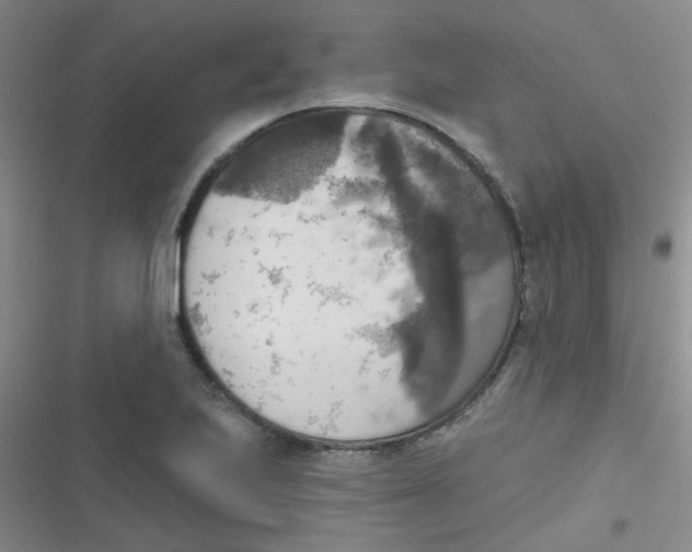 X0000116831223201001081431