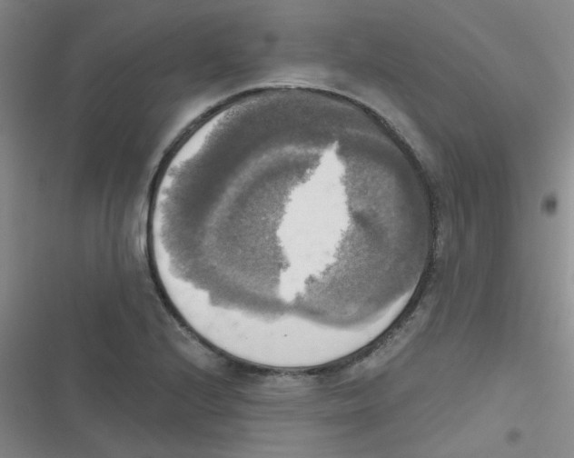 X0000116831224201001081431