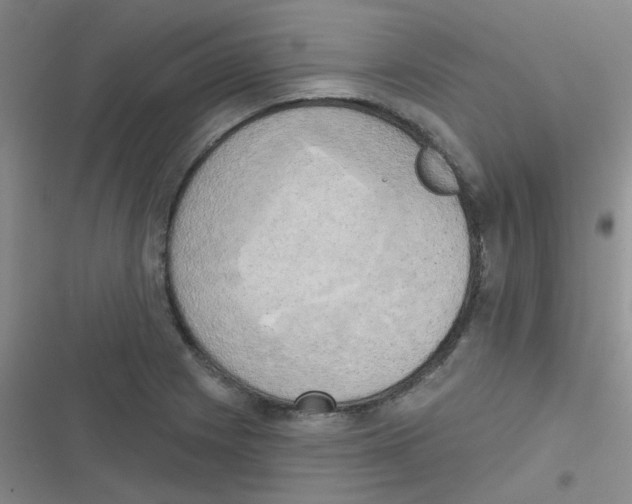 X0000116831225201001081431