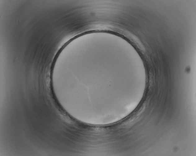 X0000116831226201001081431