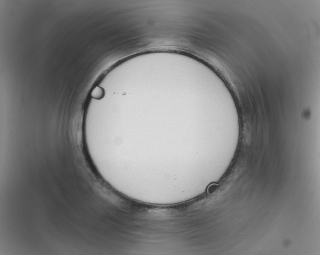 X0000116831227201001081431