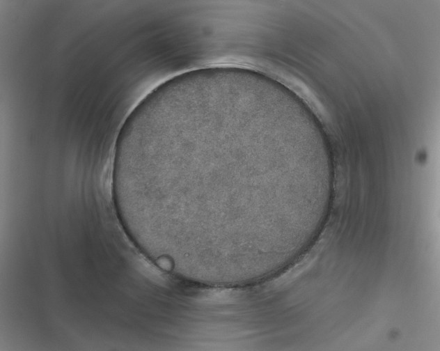 X0000116831228201001081431