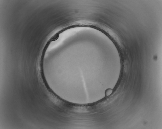 X0000116831229201001081431