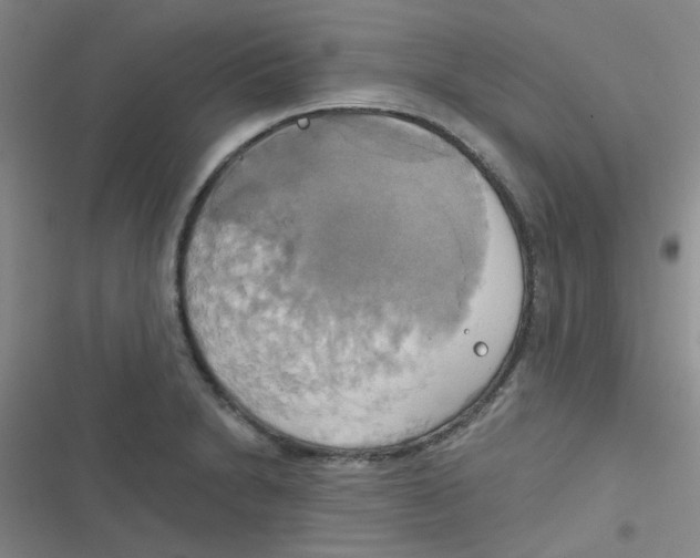 X0000116831230201001081431