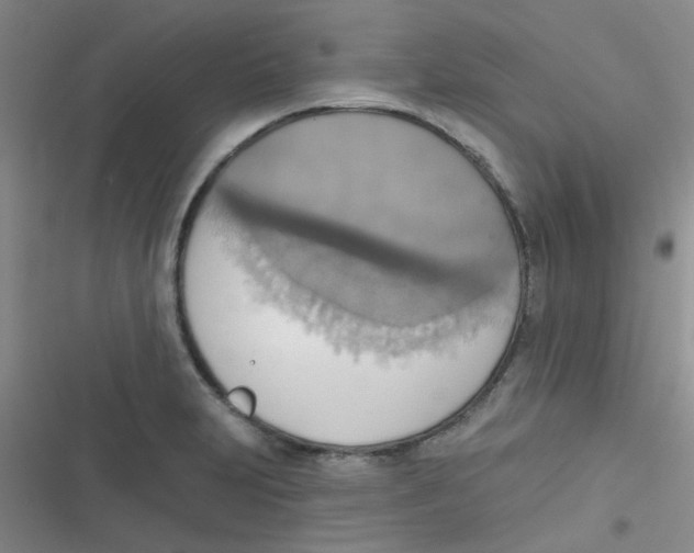 X0000116831231201001081431