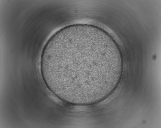 X0000116831232201001081431