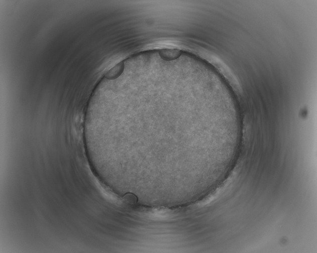 X0000116831233201001081431