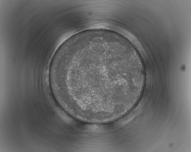 X0000116831234201001081431