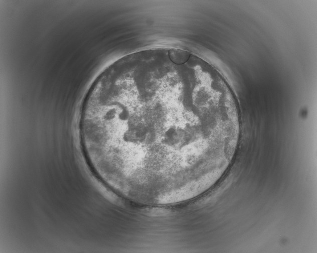 X0000116831235201001081431