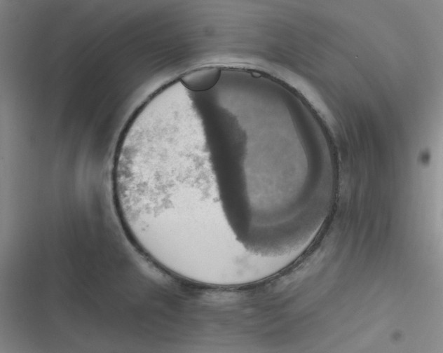 X0000116831237201001081431