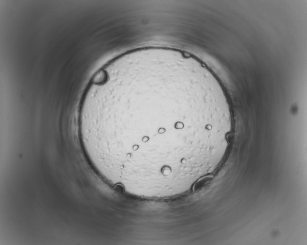 X0000116831238201001081431