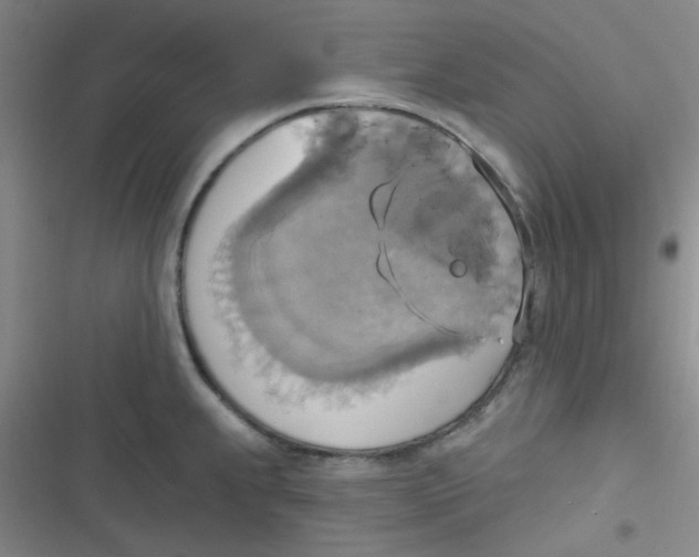 X0000116831239201001081431