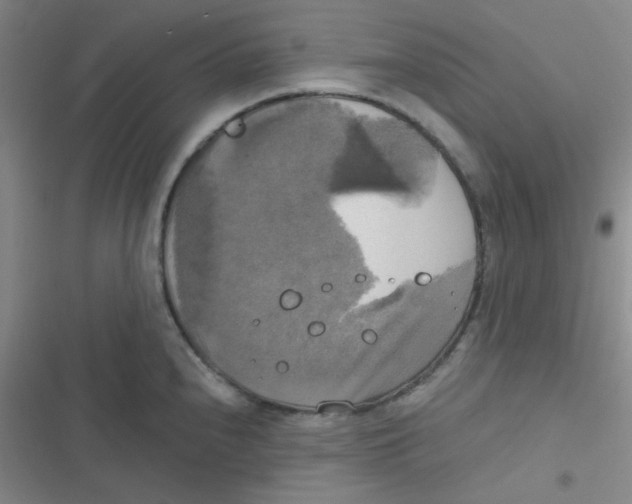 X0000116831240201001081431