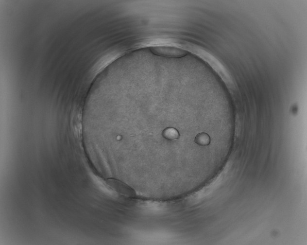 X0000116831241201001081431