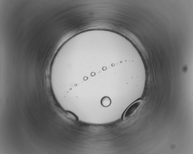 X0000116831242201001081431