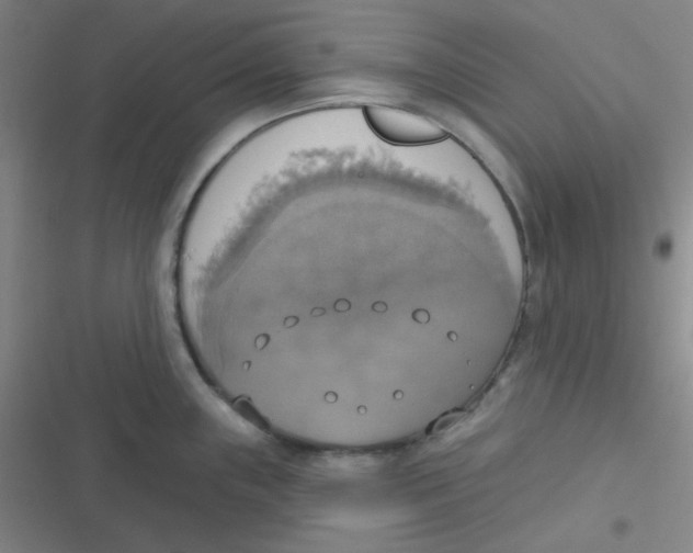 X0000116831243201001081431