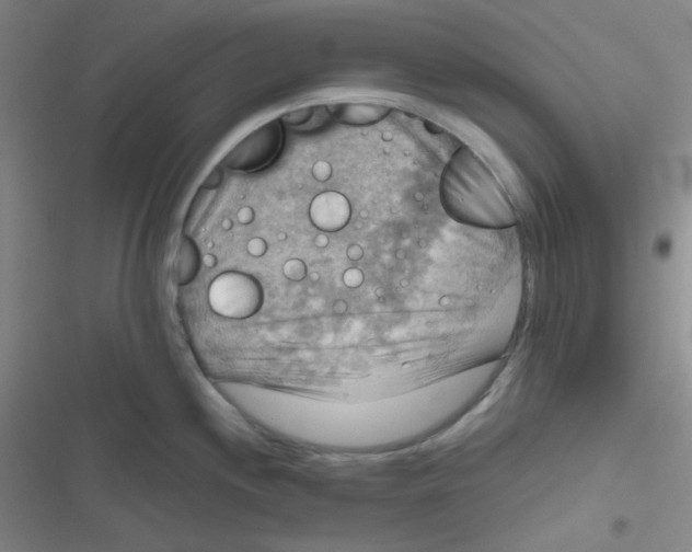 X0000116831244201001081431