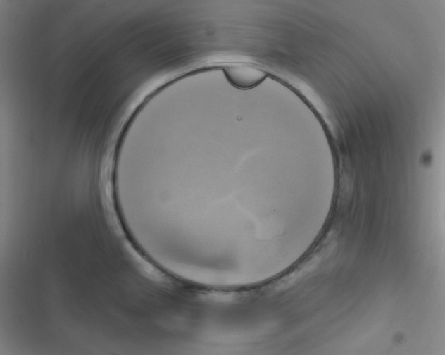 X0000116831245201001081431