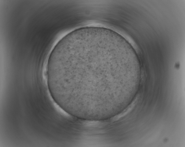 X0000116831247201001081431