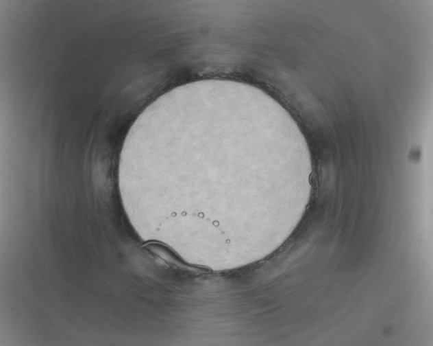 X0000116831250201001081430