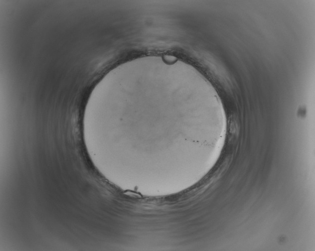 X0000116831252201001081430