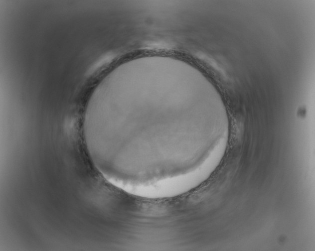 X0000116831254201001081430