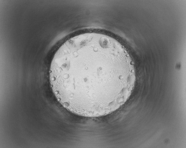 X0000116831255201001081430