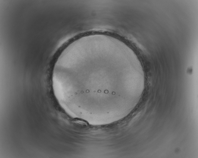 X0000116831256201001081430