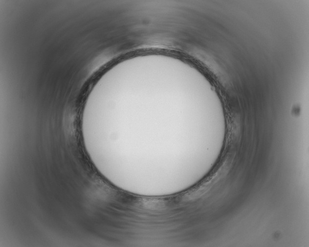 X0000116831258201001081430