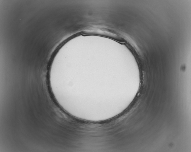 X0000116831260201001081430