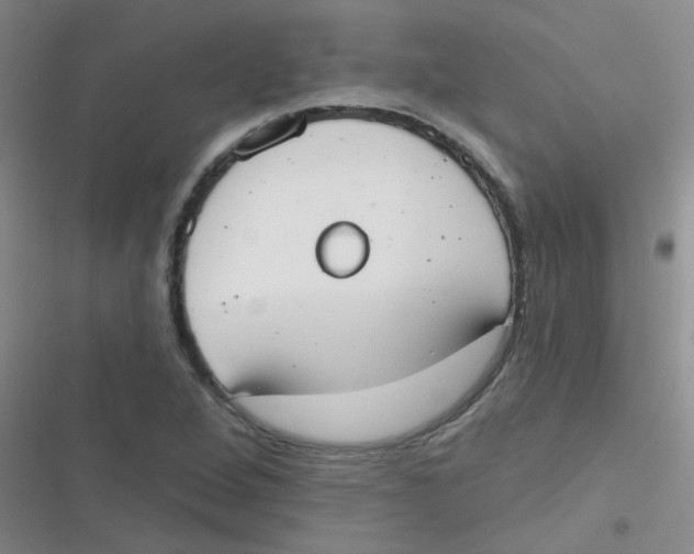 X0000116831264201001081430