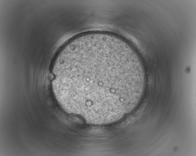 X0000116831267201001081430