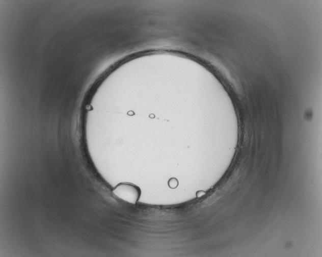 X0000116831270201001081430