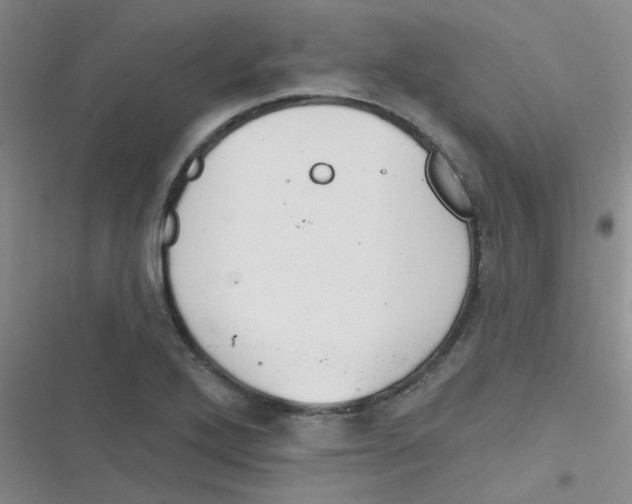 X0000116831272201001081430