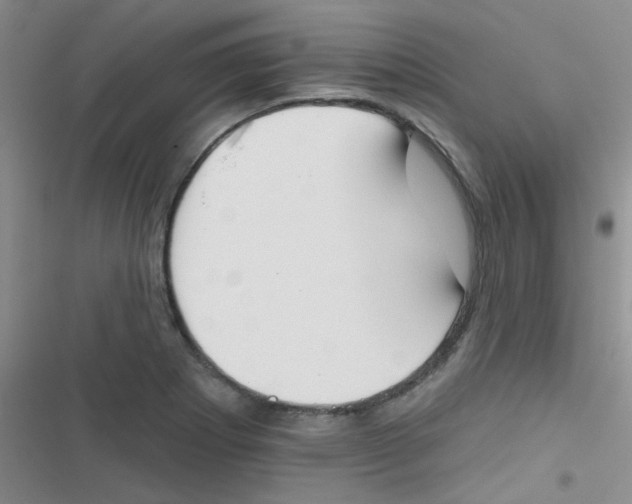 X0000116831273201001081430