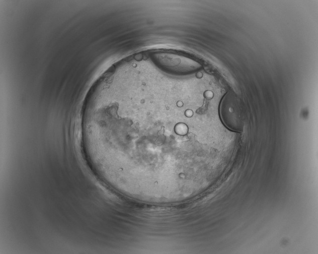 X0000116831274201001081430