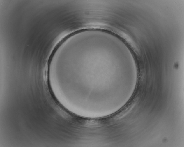 X0000116831275201001081430