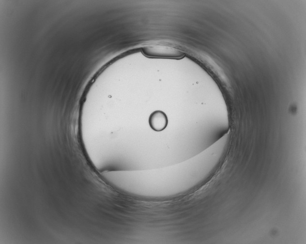 X0000116831276201001081430