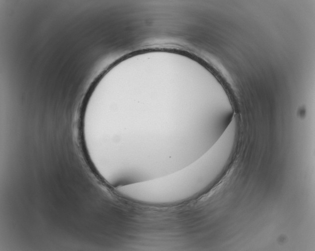 X0000116831277201001081430