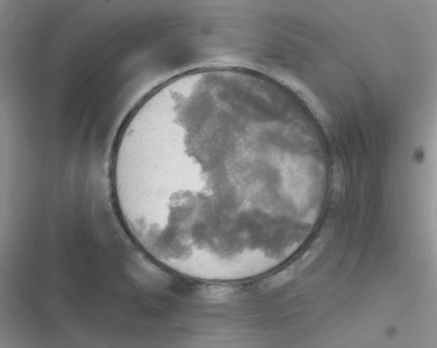 X0000116831278201001081430