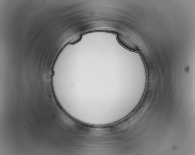 X0000116831281201001081430